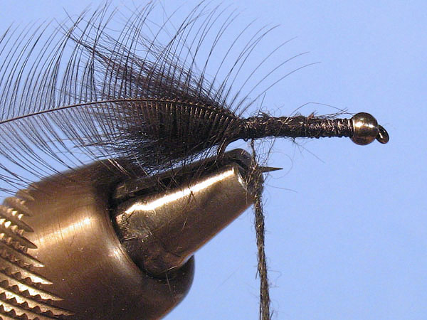 Baby Woolly Bugger - Step 5
