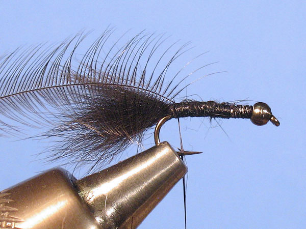 Baby Woolly Bugger - Step 4