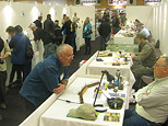 Swedish Fishingfair 2011